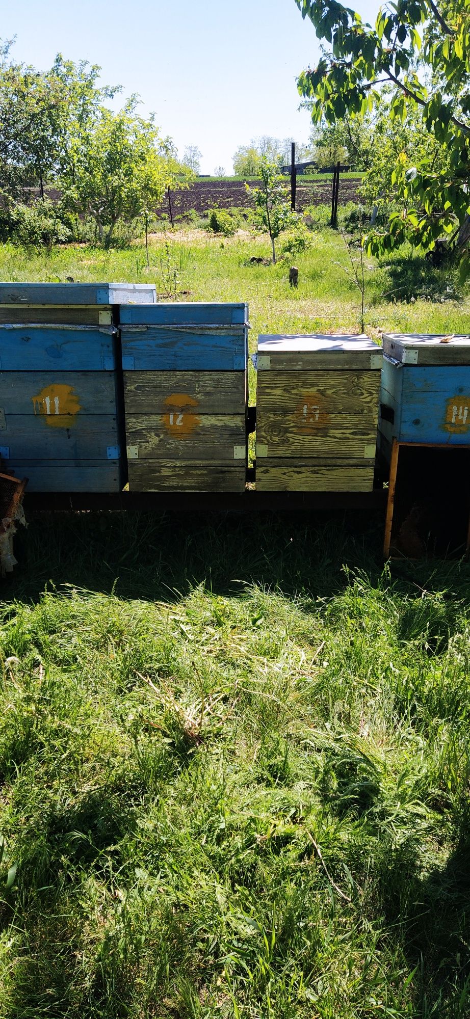 Продам вулики корпусні.