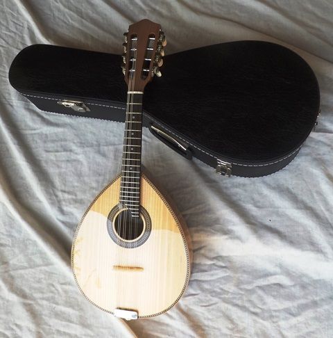 Bandolim português e estojo