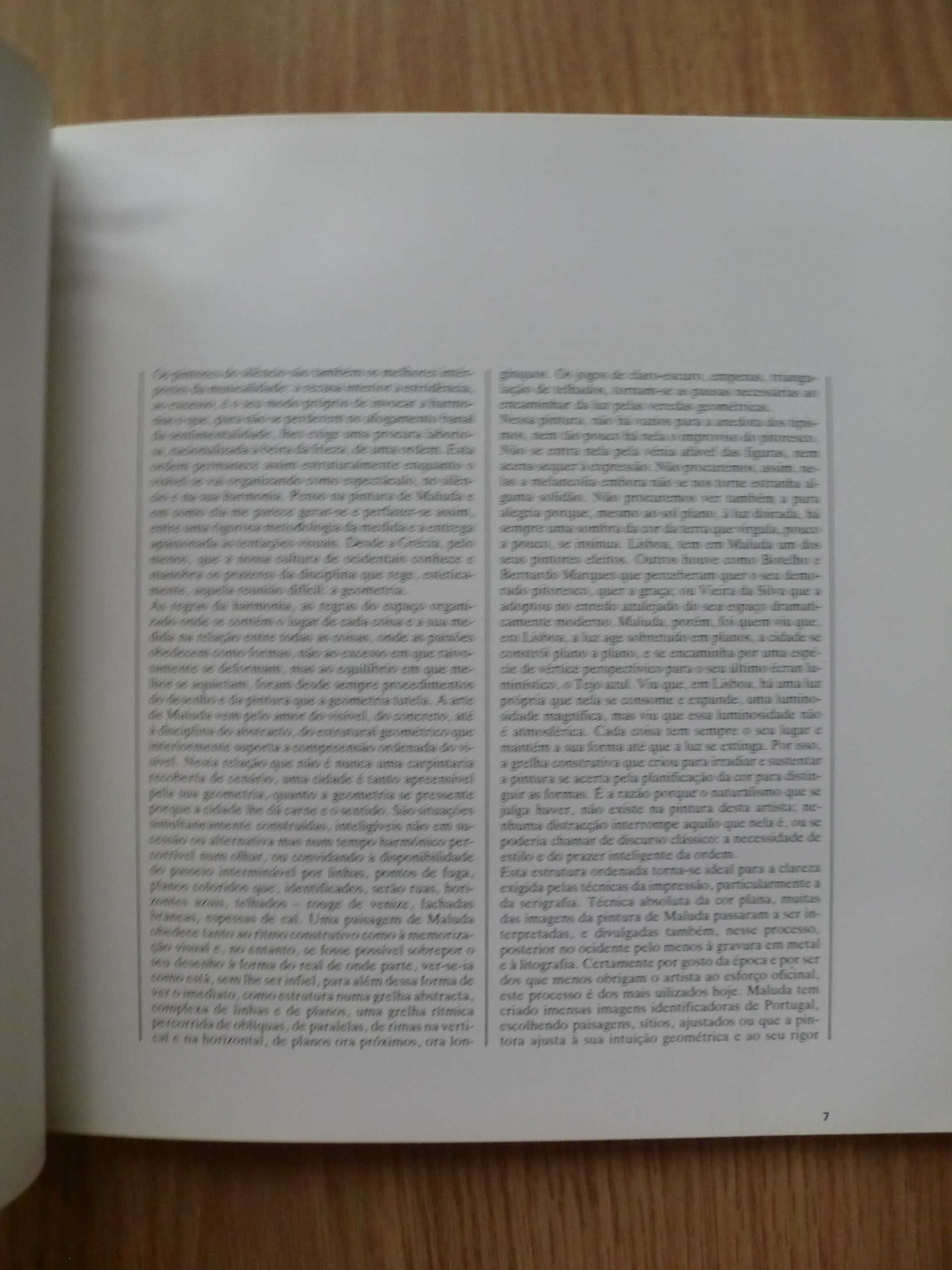 Maluda - Catálogo de exposição 1989