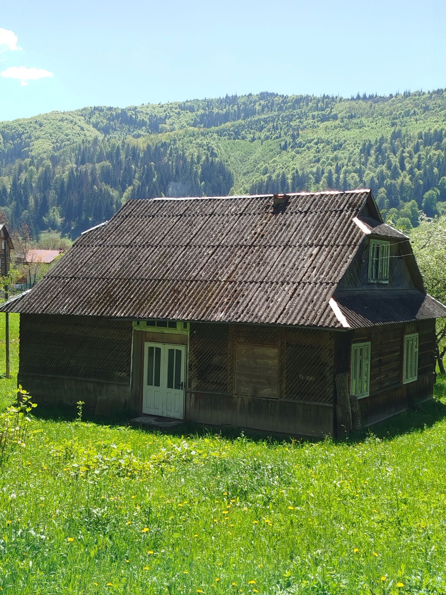 Терміново! Будинок та земля в Карпатах, річка, гори, краєвиди
