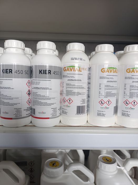 Środek na grzyba w zbożu rzepaku i warzywach. Kier 450SC Gavial 375SC