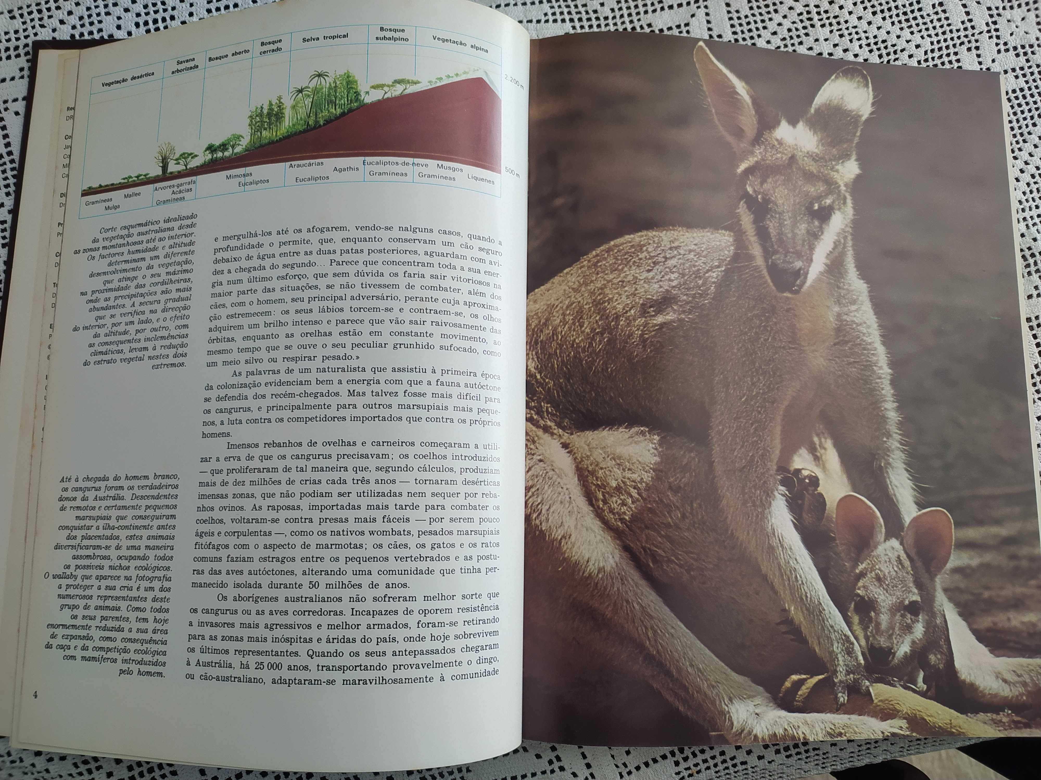 A Fauna: todos os fascículos encadernados