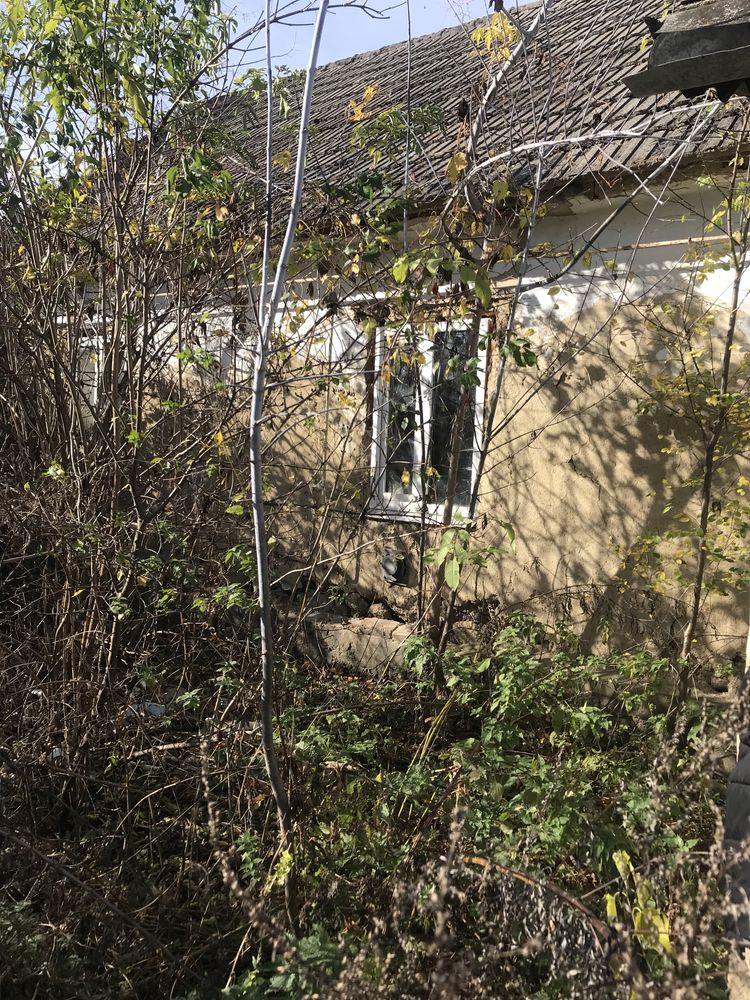 Продам будинок у с. В.Степ Вінницька обл