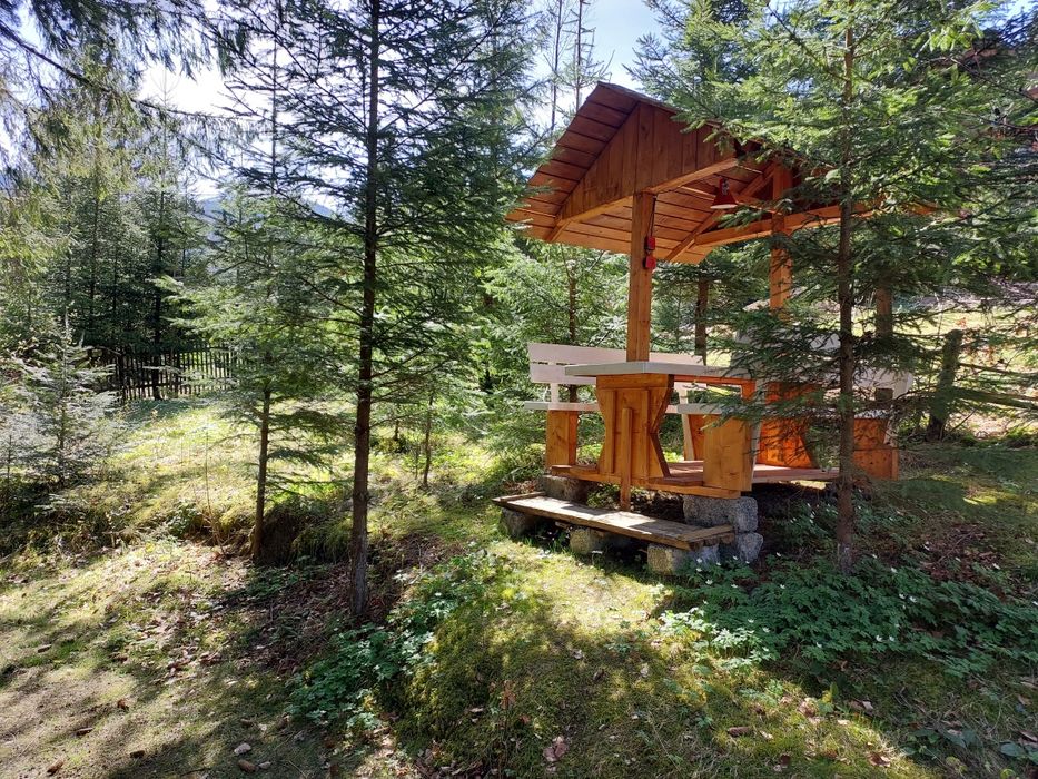 Котедж, будинок в Карпатах Татарів 2-6 осіб