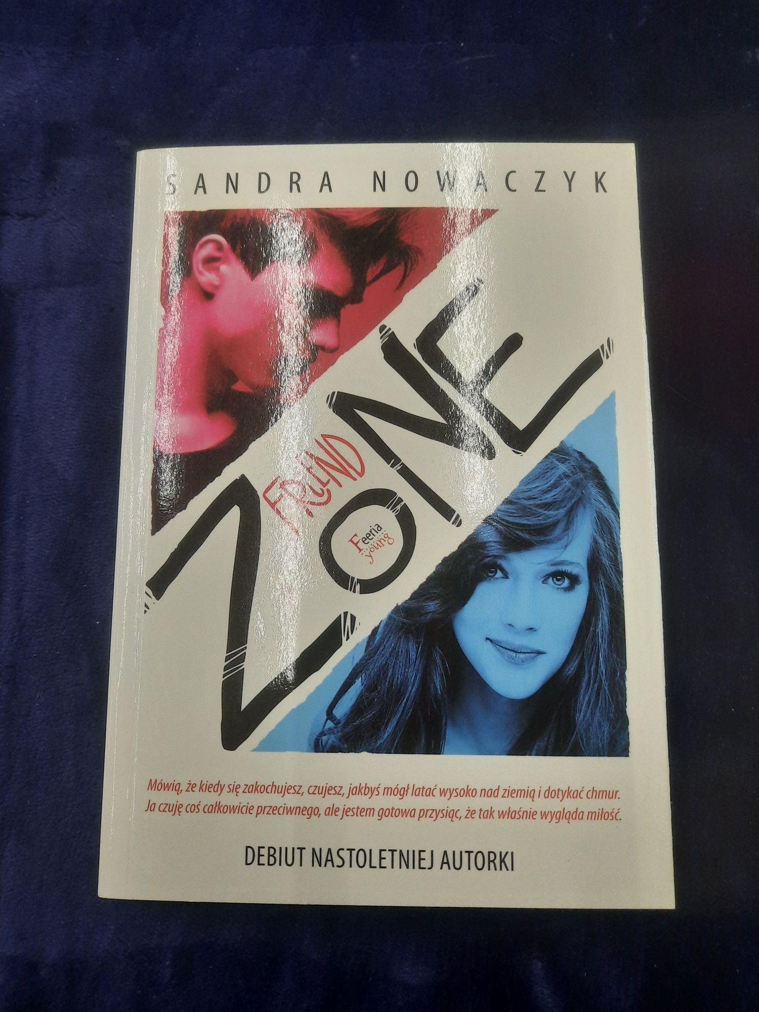 Książka "Friendzone" Sandra Nowaczyk