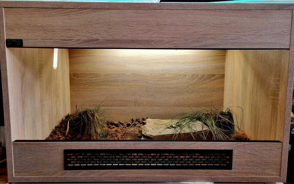 Terrarium 80x50x50 dla żółwia greckiego stepowego