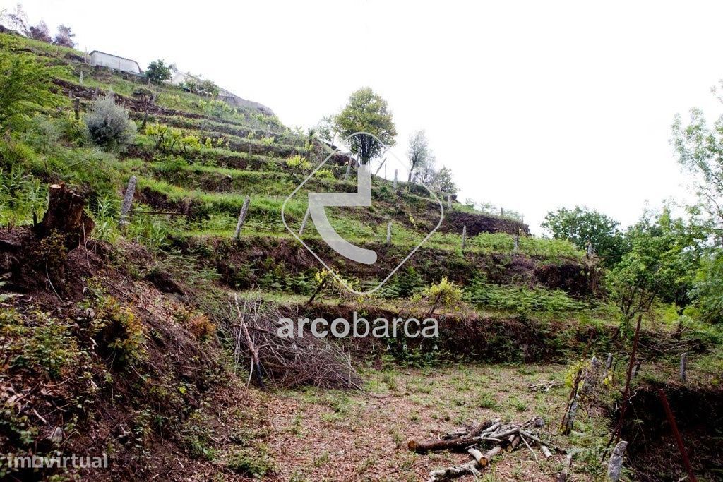 Quintinha em Prozelo, Arcos de Valdevez Projecto aprovado, 65.000€.