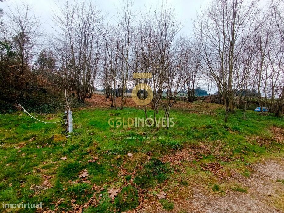 Terreno Rústico  Venda em Castelões,Penafiel