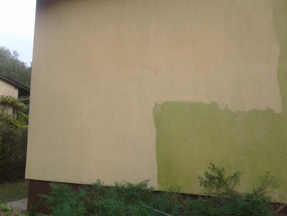 !! Wycinka drzew, przycinka, mycie elewacji, dachów  !!!