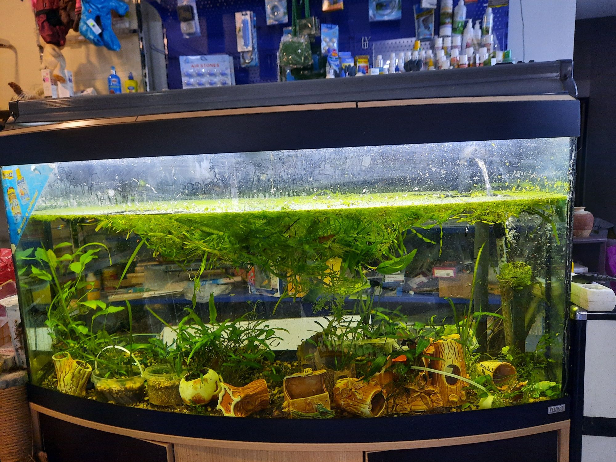 Акваріум Hagen fluval vicenza 260l