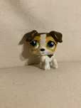 Figurka lps pies jack russel terrier