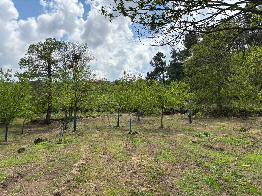 Vende se terreno agrícola
