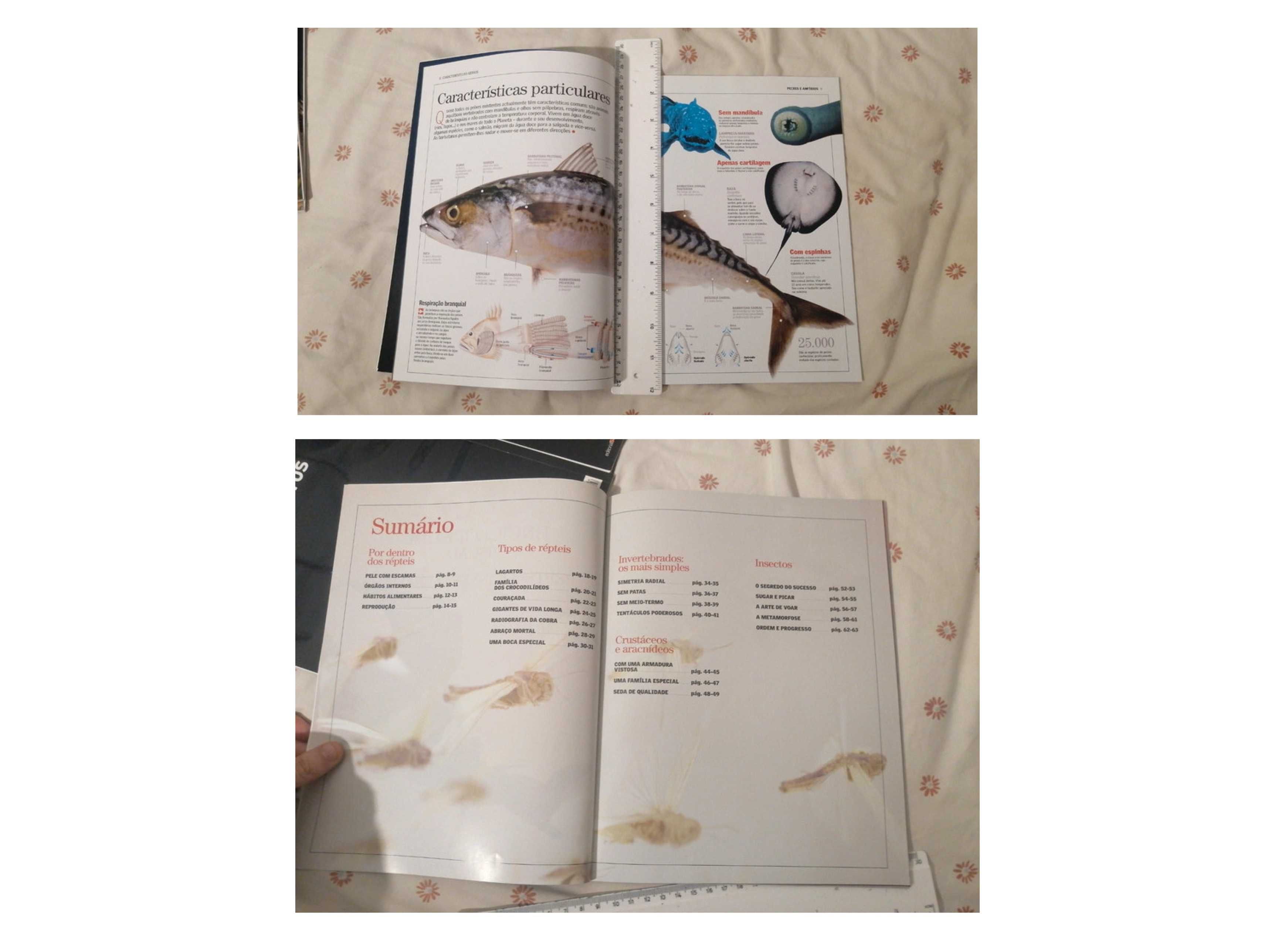 Enciclopédias de animais