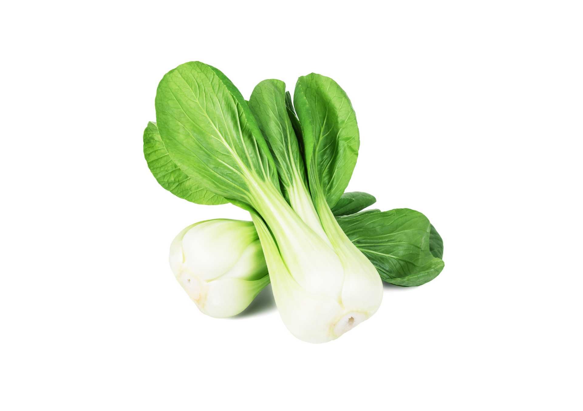 Nasiona Kapusty Pak-Choi - 1,5 g nasion kolekcjonerskich