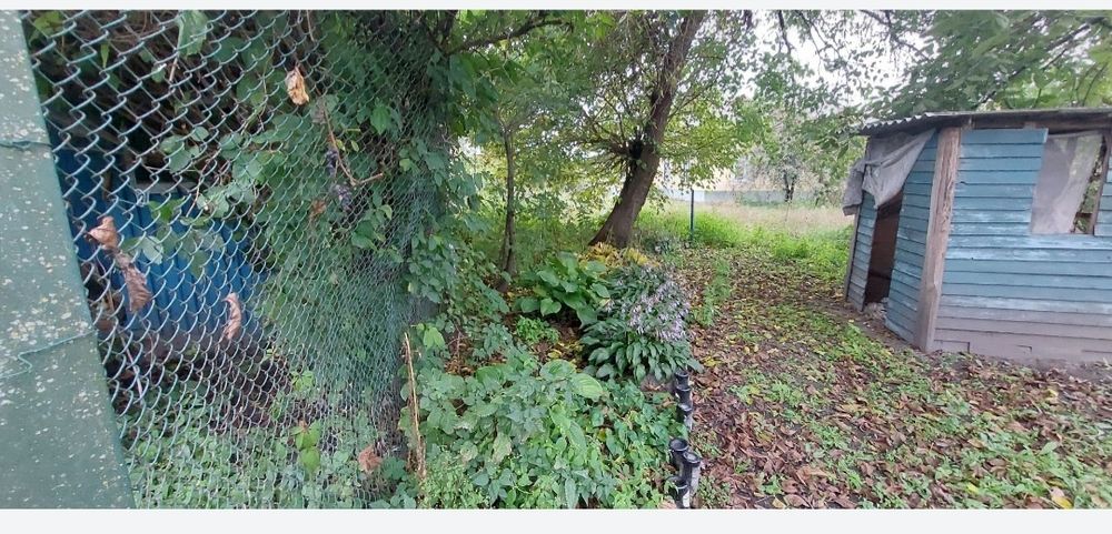 Продам,здам будинок під дачу.