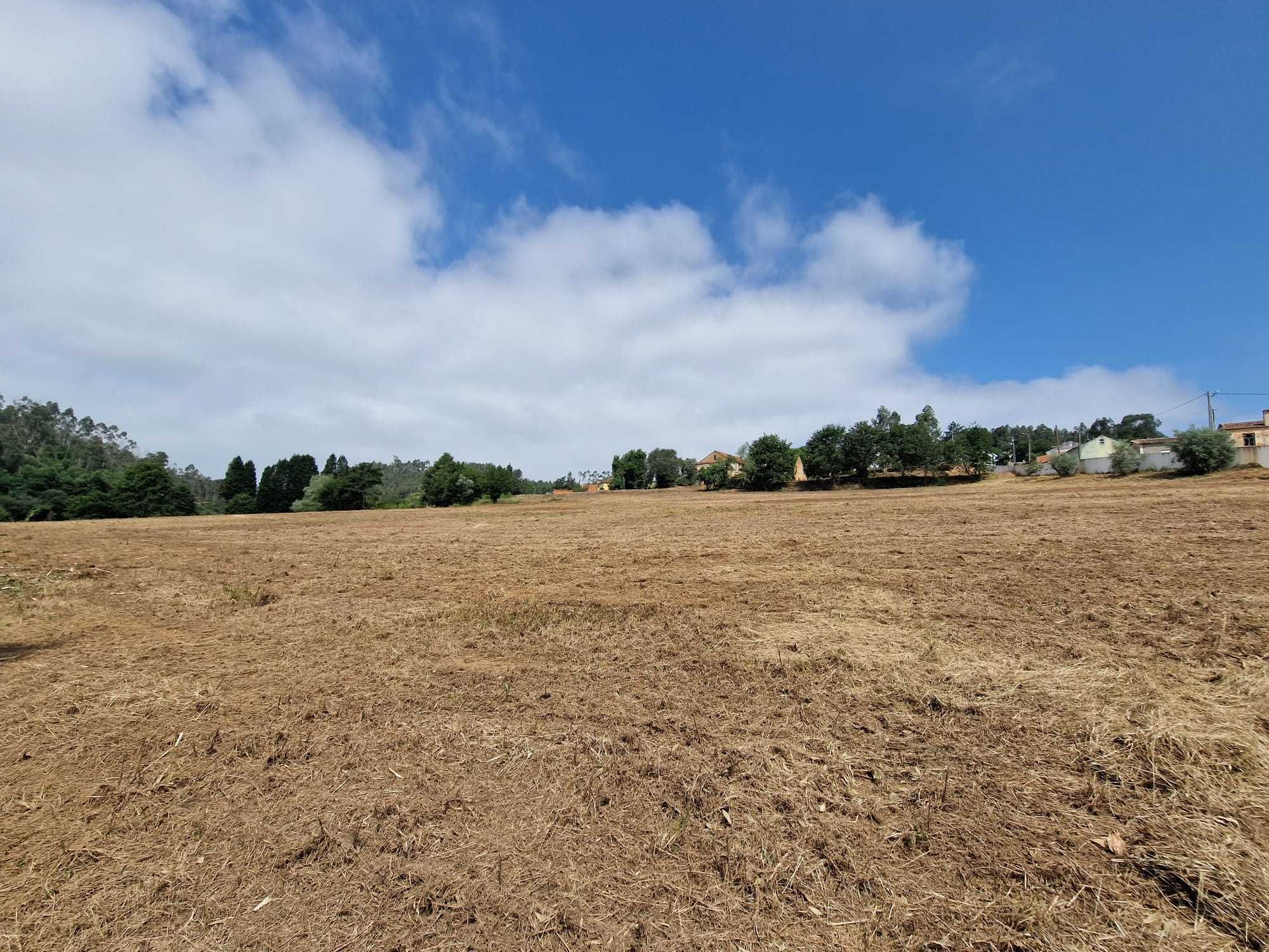 Vouga Florest - Limpeza de terrenos, terraplanagens e serviços