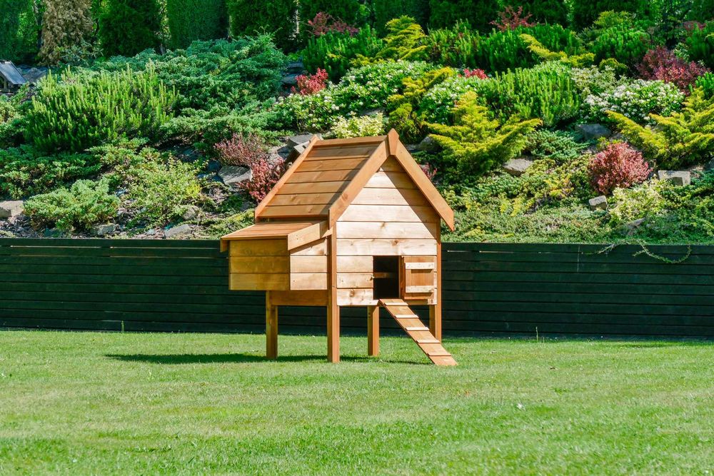 Kurnik z przystawką