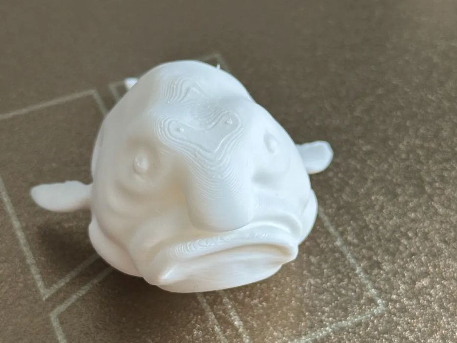 Peixe Blobfish - Animal Marinho Curioso