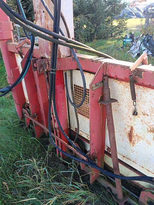 Wicinak bvl sprzedam