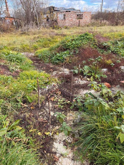 Продаж будинку з ділянкою