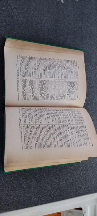 Dicionário francês - português/ português - francês