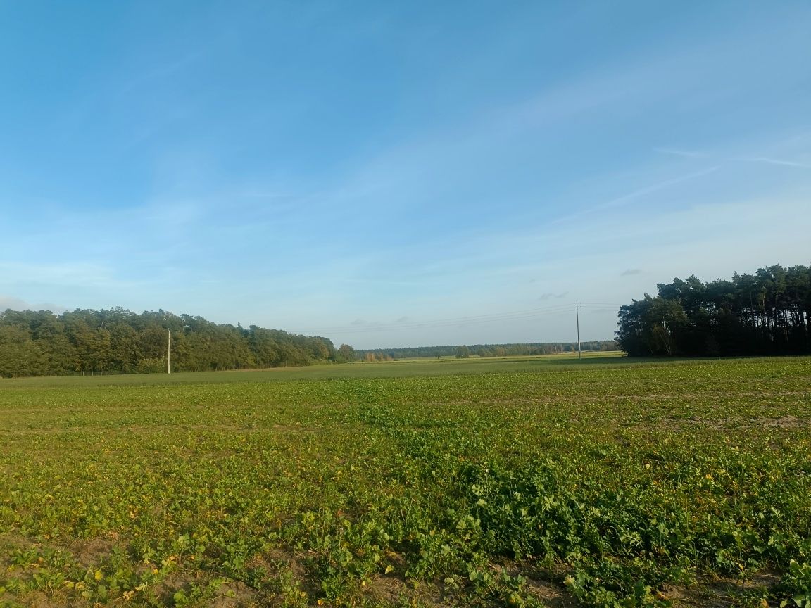 Cichy zakątek - działka budowlana