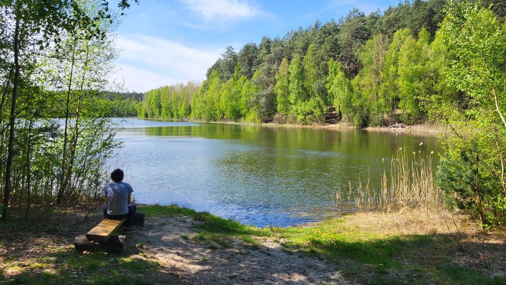 Dom w prywatnym lesie niedaleko jeziora warmińsko-mazurskie