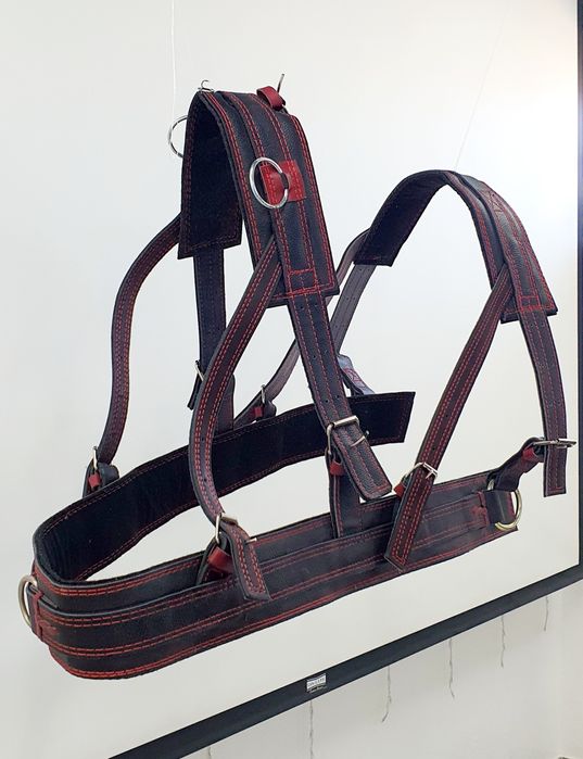 Шлея міцна чорна шкіряна 3200грн