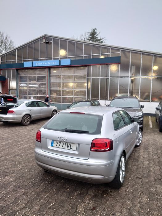 Audi A3 8P 1.9 TDI