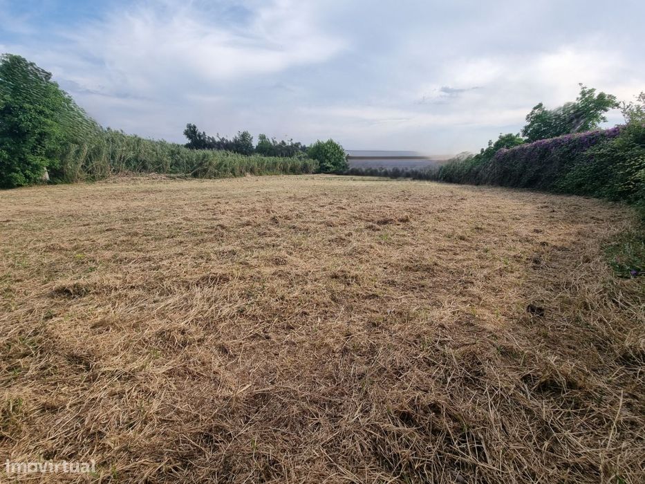 Terreno Construção