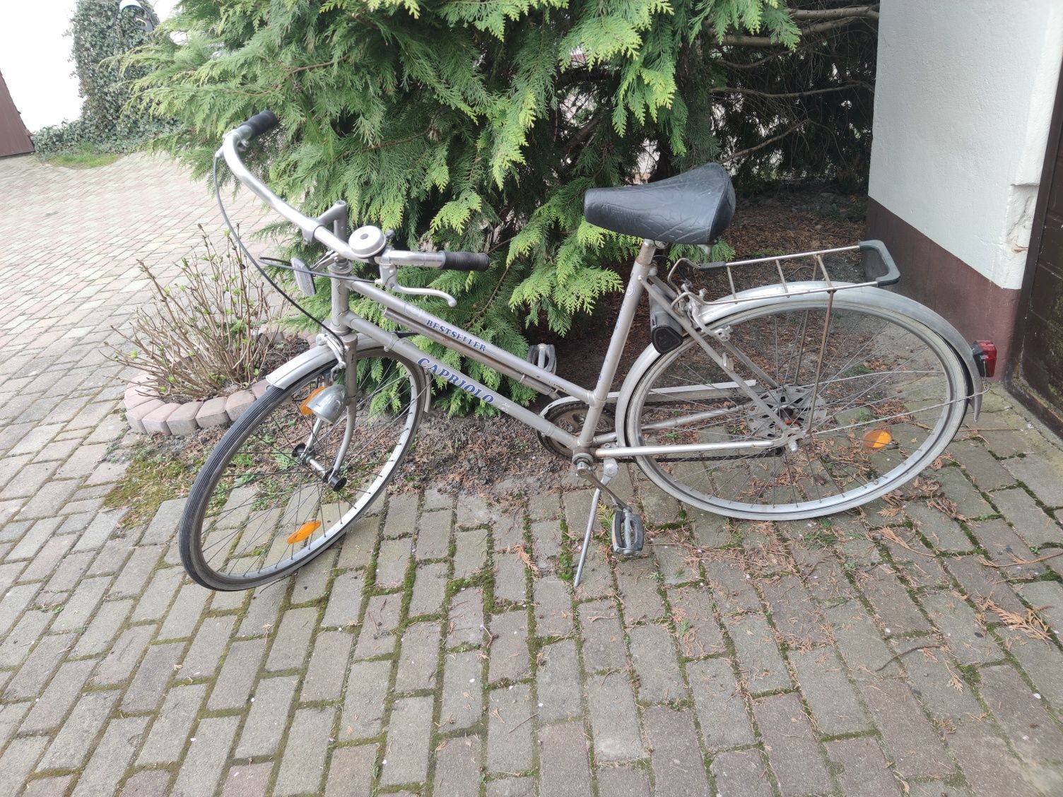 Damka Capriolo rower