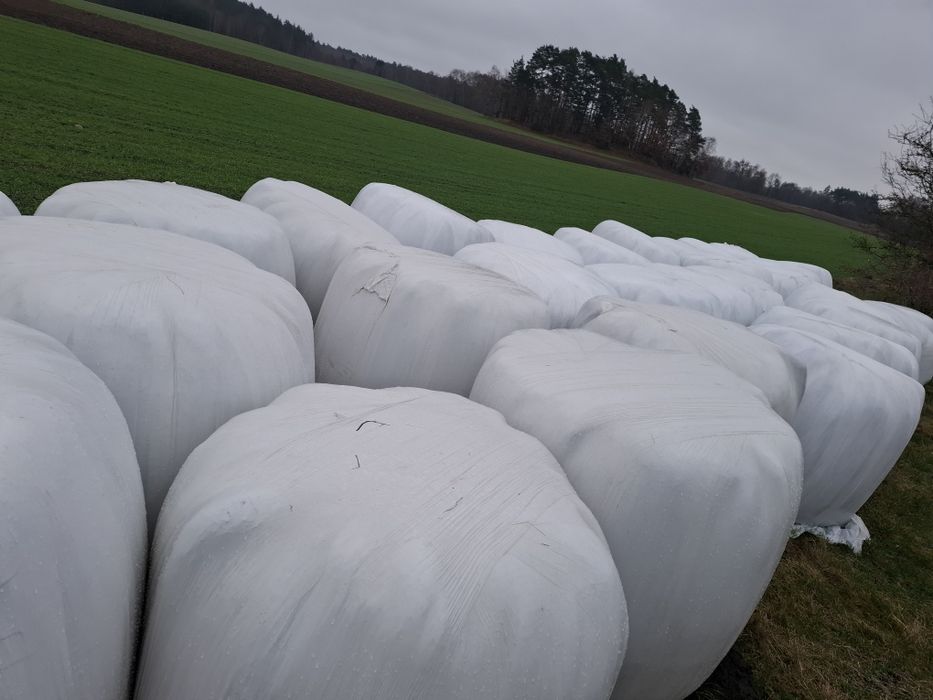 Sprzedam słomę , siano, sianokiszonke i zboże zyto