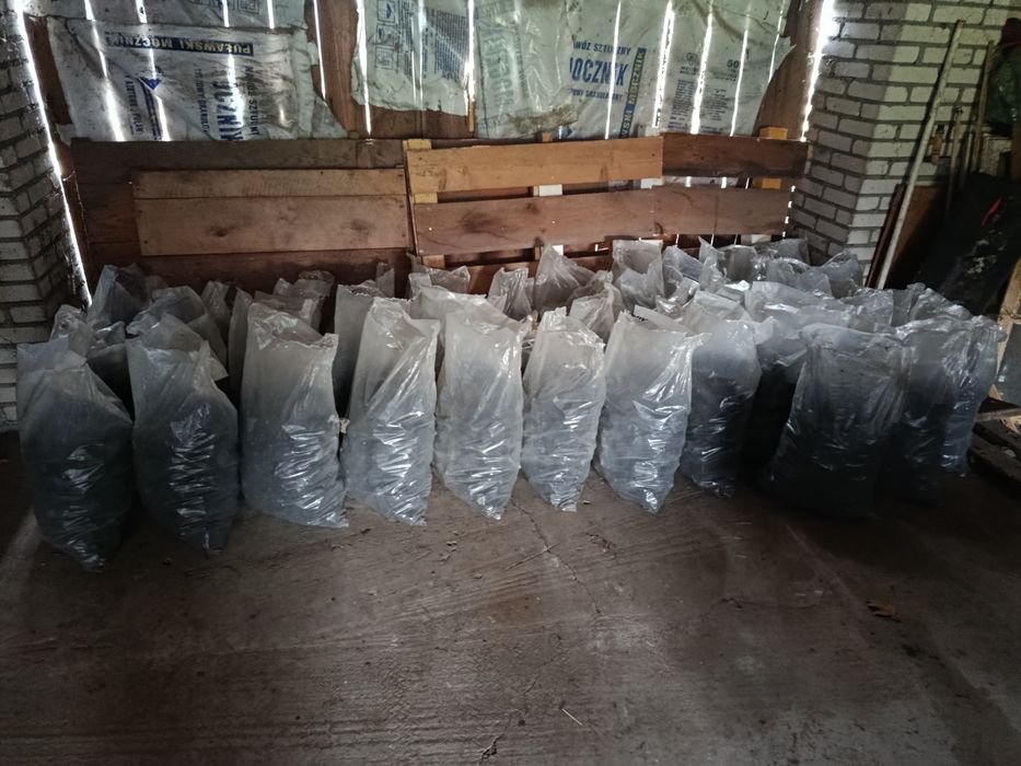 Węgiel + drewno rąbane suche