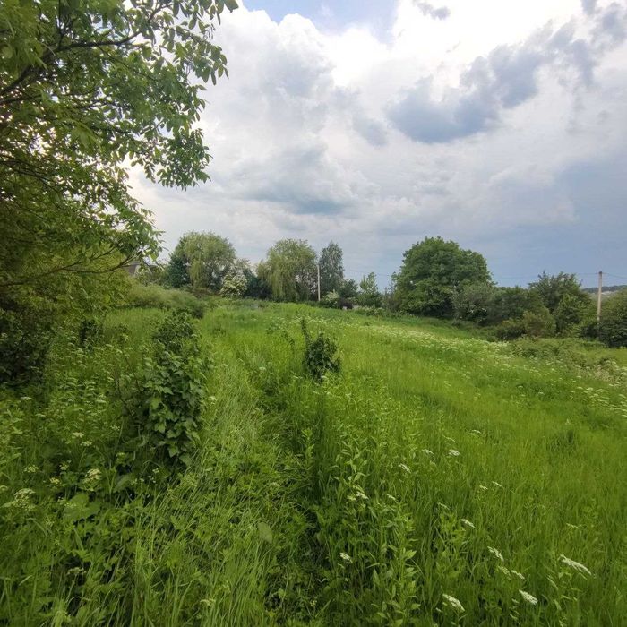 Дачний будинок із копанкою біля озера