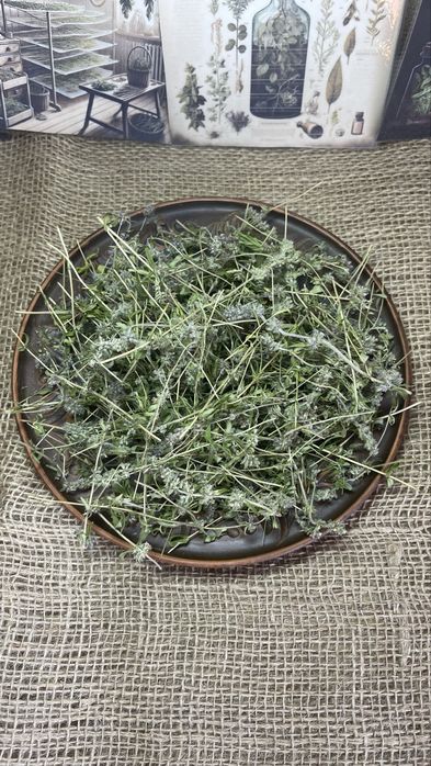 Чебрець сушений польовий, лікарські трави