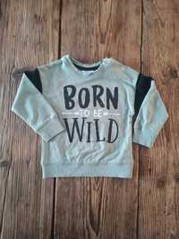 Bluza Born to be Wild, So Cute, r. 80