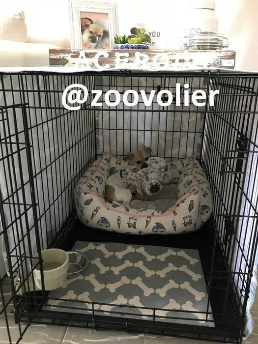 Клетка, клітка S,М,L,XL,XXL переноска будка, домик для собак или кошек