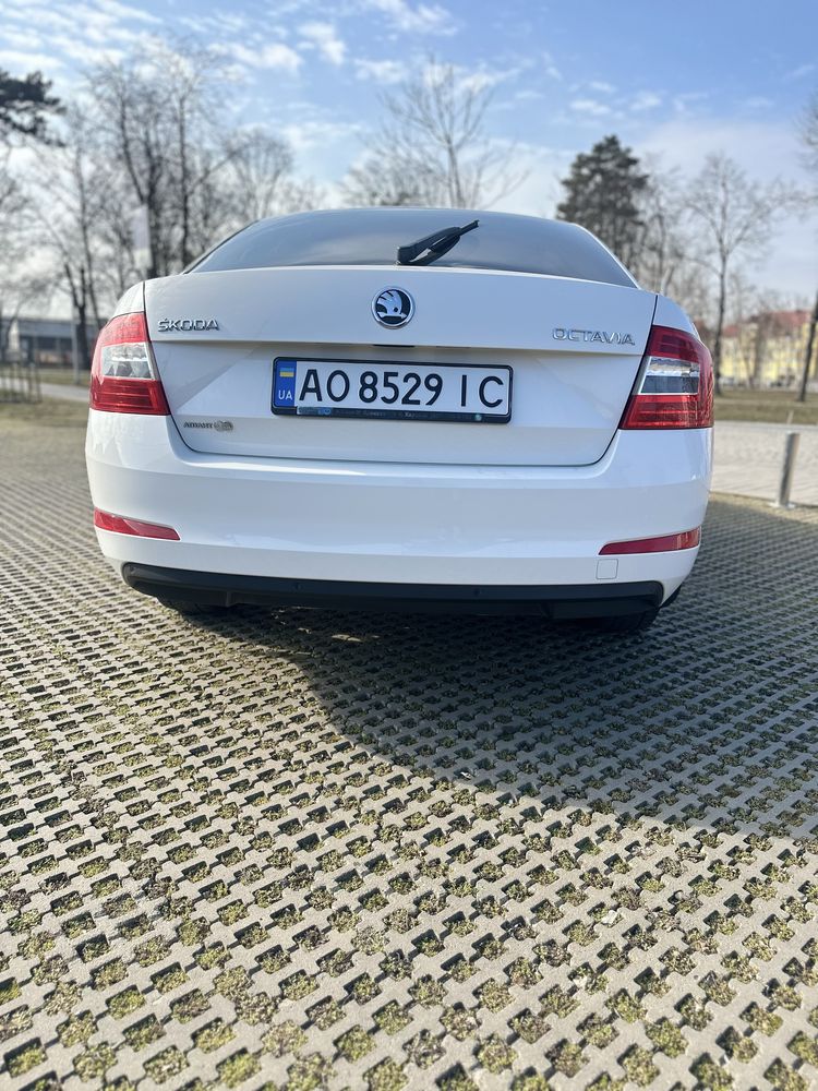 Skoda octavia a7 avtomat