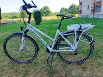 Damski - Leader Fox Forenza Lady 2016, Biały 19", 13Ah