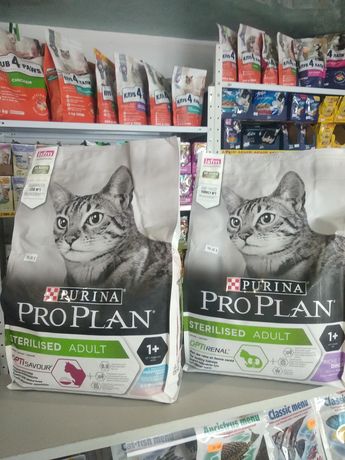 Pro Plan корм для котов кошек сухой влажный супер премиум Про План