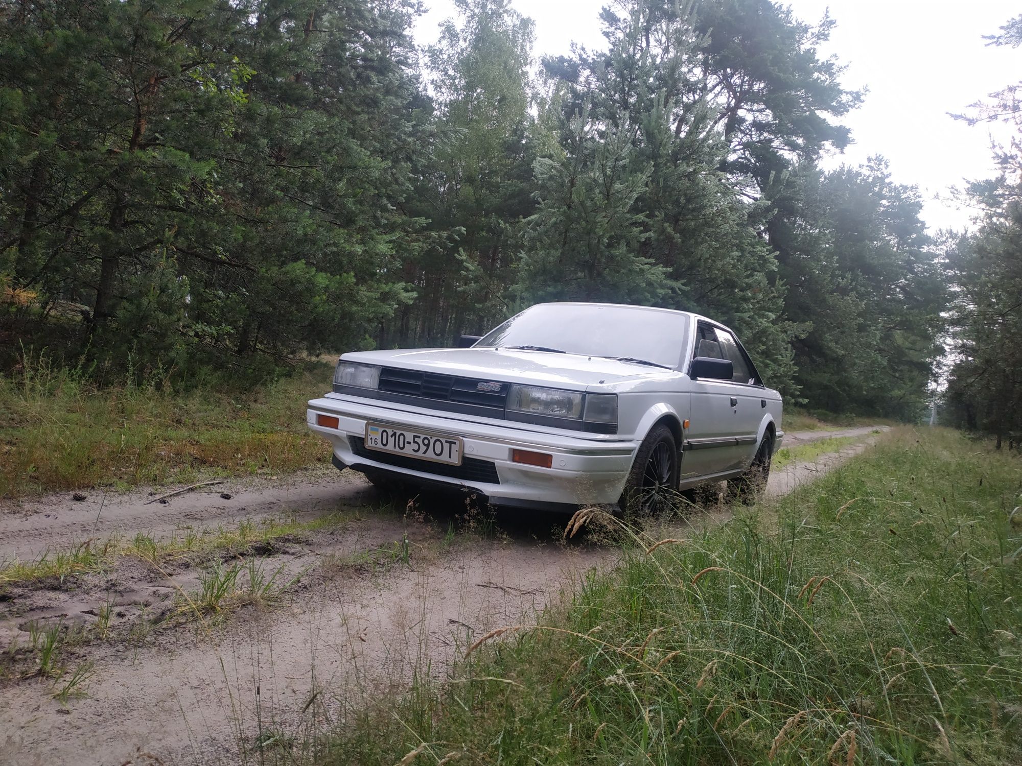 Продам nissan bluebird sss