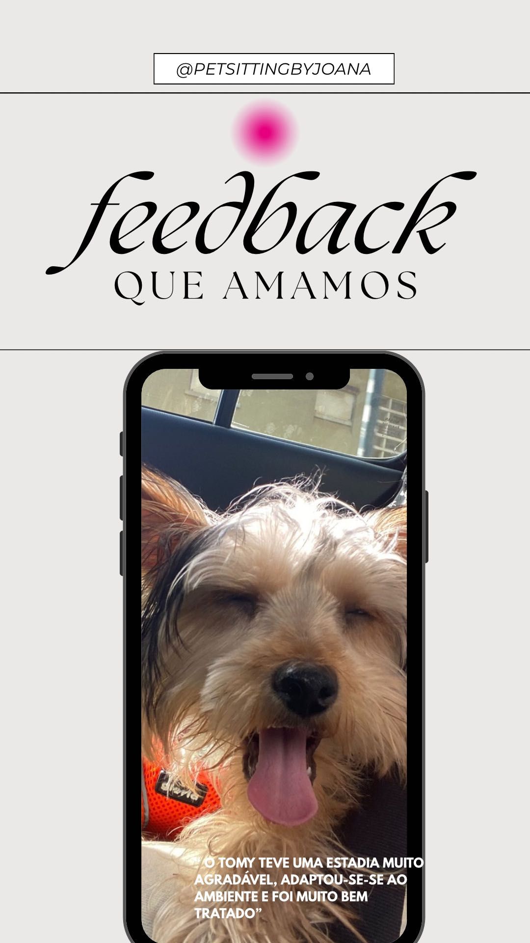 Pet Sitting/ estadias, passeios, visitas