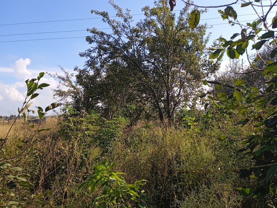 Продам участок 10 соток