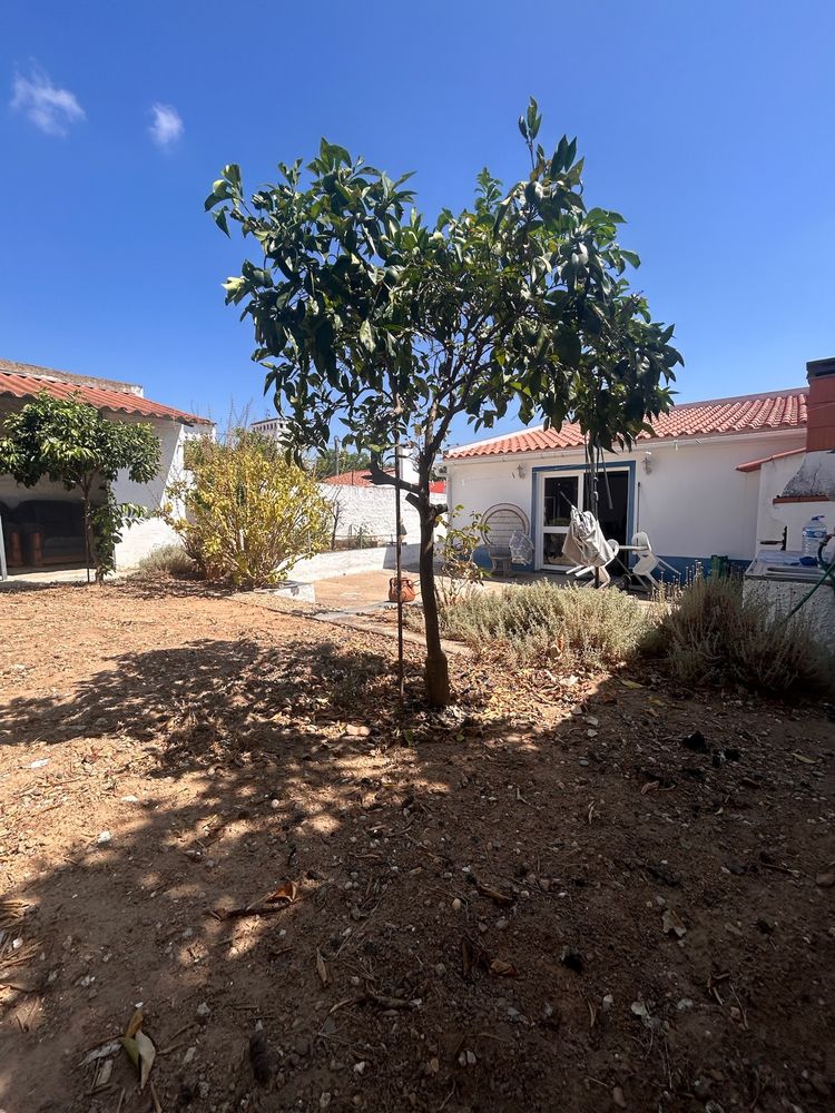 Casa em aldeia junto à cideade de beja