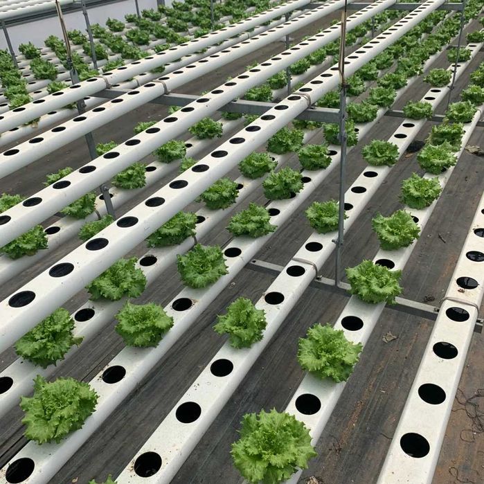 HIDROPONIA - Metro de Tubo Produção em 2 mão