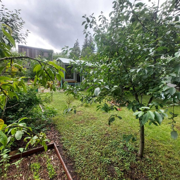 Sprzedam działkę ROD Urodzaj 3, odrębne wejście od strony rzeki Warty