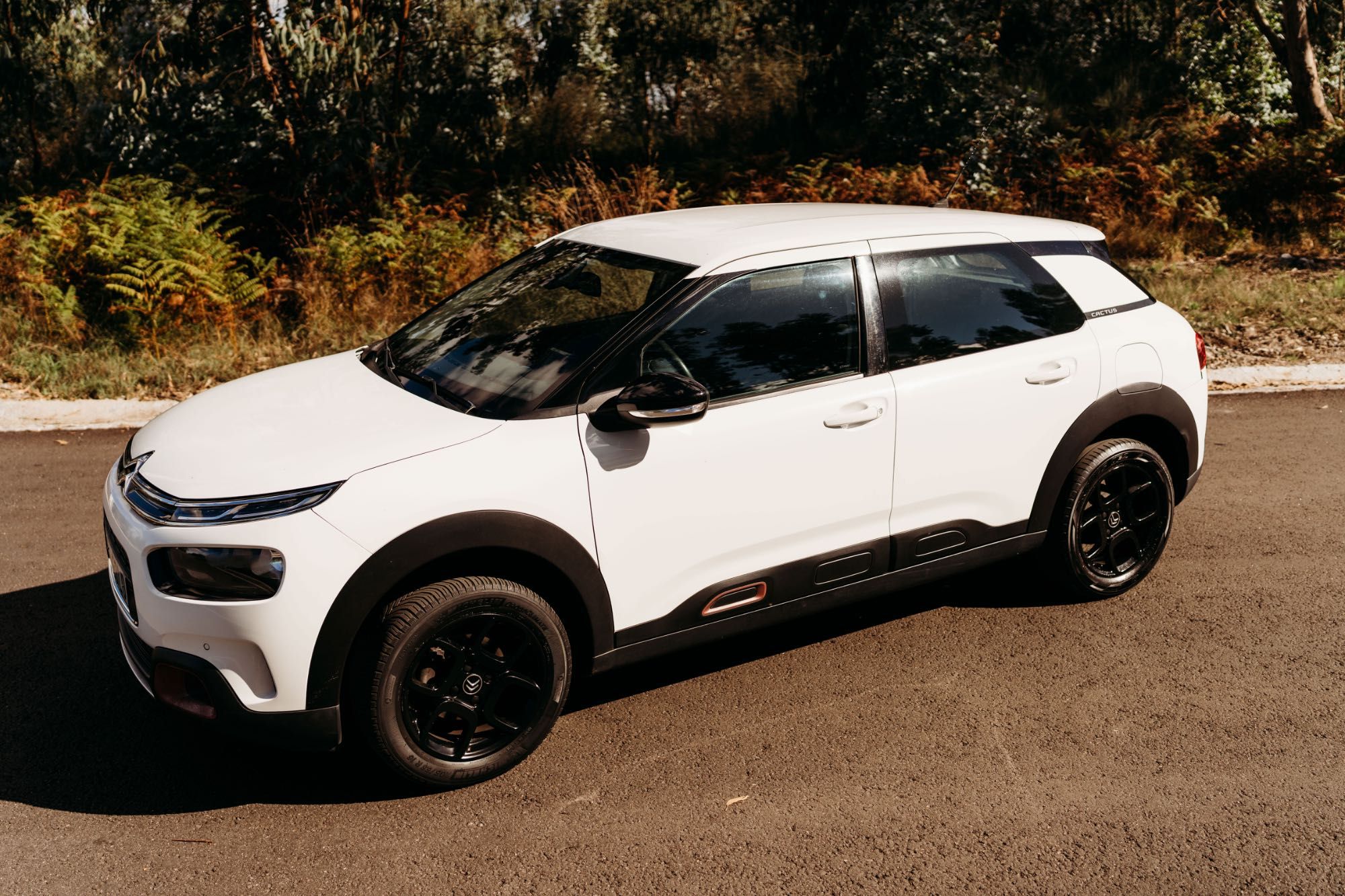 Citroen C4 Cactus Diesel