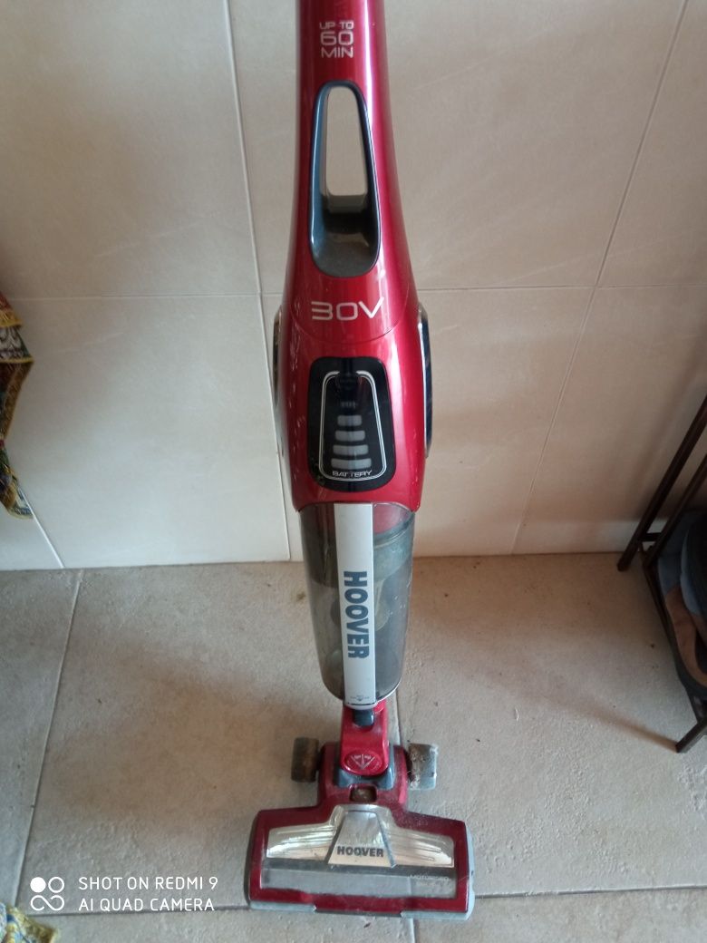 Aspirador vertical Hoover