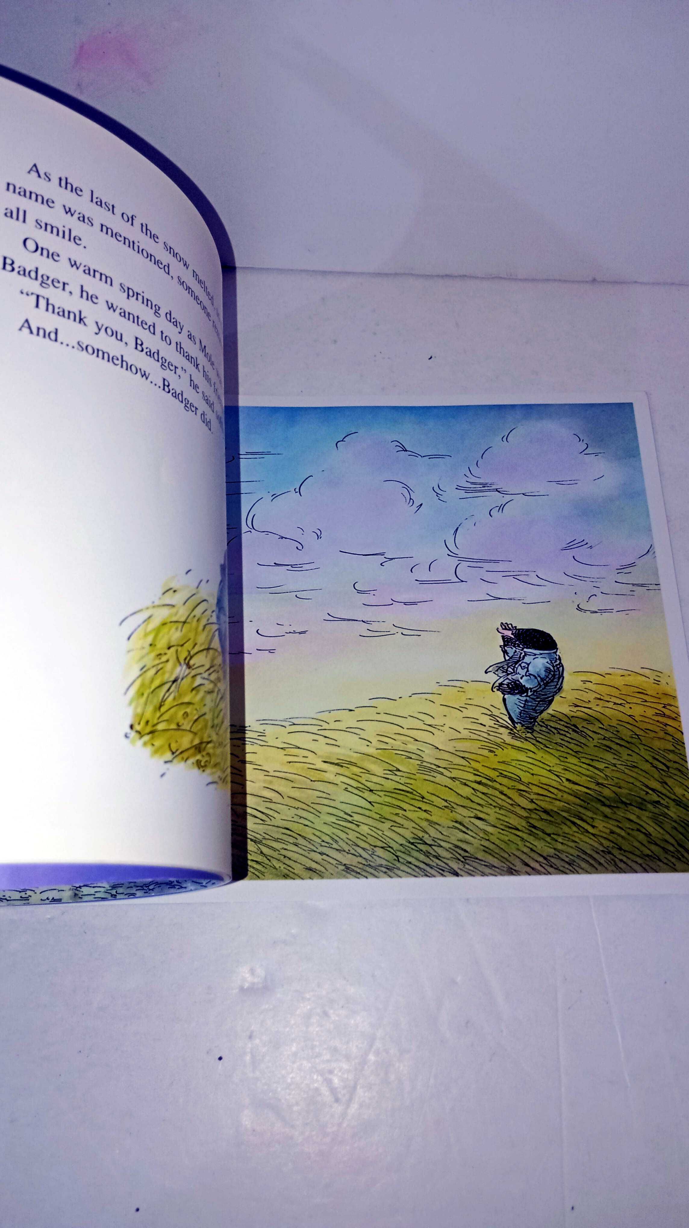 Badger's Parting Gifts - livro em Inglês