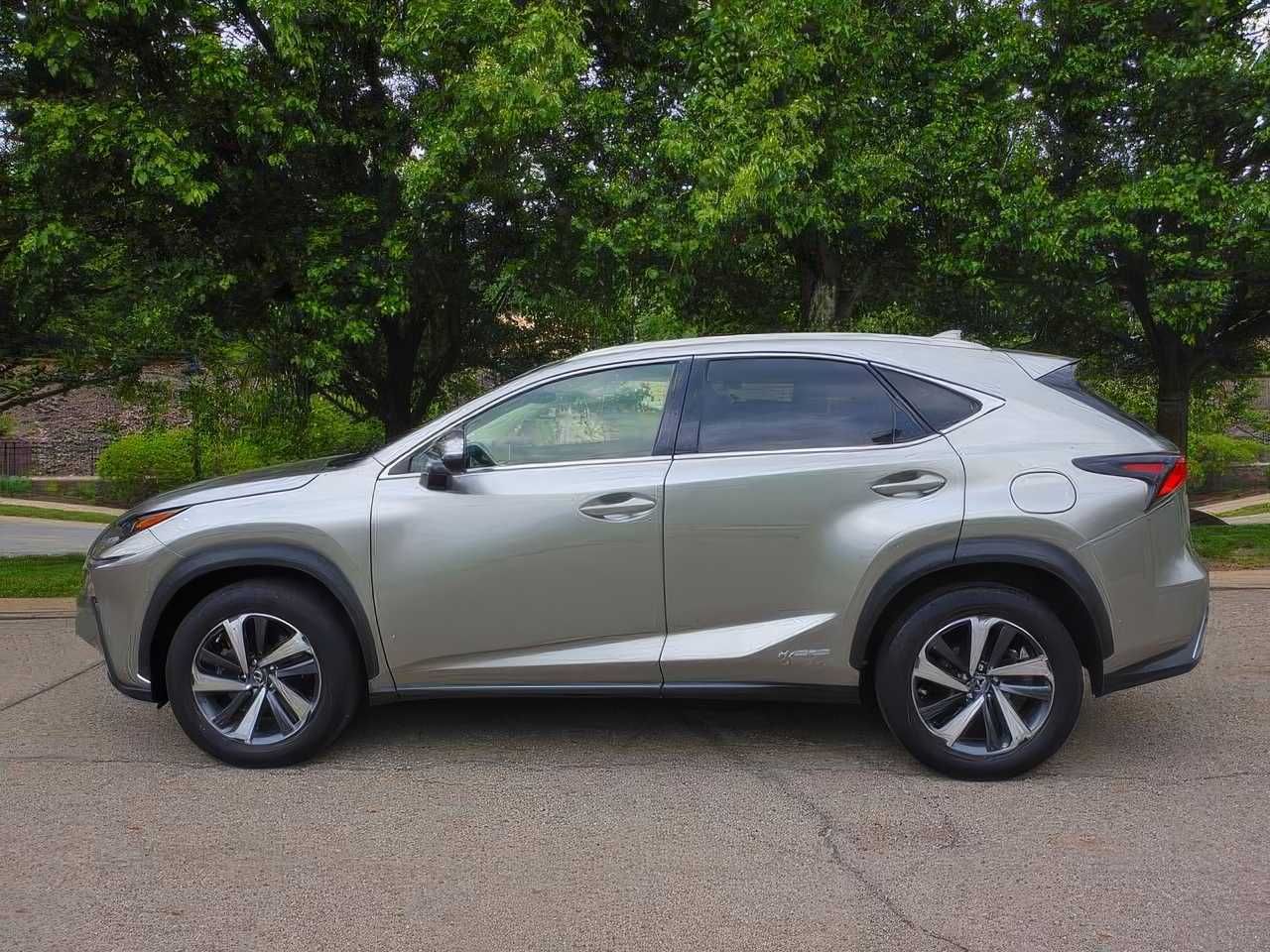 2019 Lexus NX 300h
